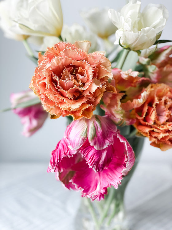 The Fascinating Story of Tulips: From Turkey to Your Garden