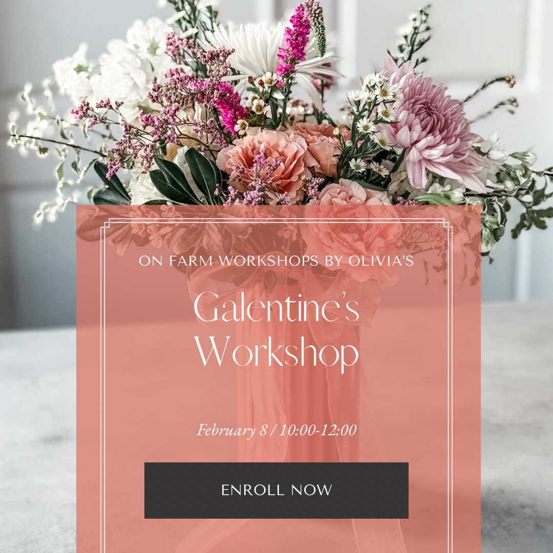 Galentine’s Event