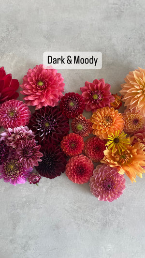 Petite Bouquet