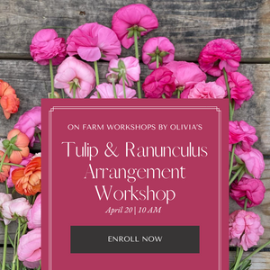 Tulip and Ranunculus Arrangement