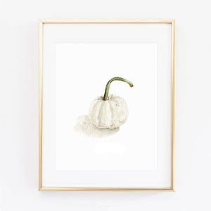 white pumpkin art print